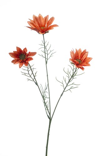 Daisy spray x3 orange 63cm