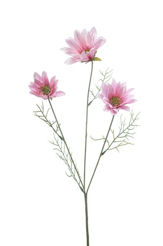 Daisy spray x3 pink 63cm