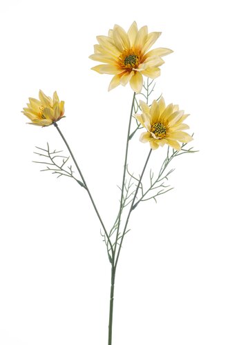 Daisy spray x3 yellow 63cm