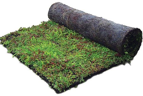 Daktuin Sedummixmat (per stuk/0,96m²) - afbeelding 1