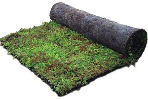 Daktuin Sedummixmat (per stuk/0,96m²)