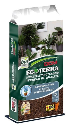 DCM Ecoterra® Kamerplanten