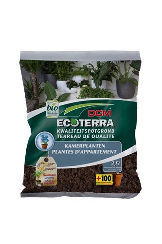 DCM Ecoterra® Kamerplanten