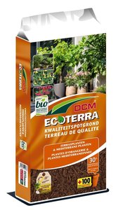 DCM Ecoterra® Terrasplanten & Mediterrane Planten