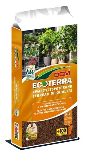 DCM Ecoterra® Terrasplanten & Mediterrane Planten