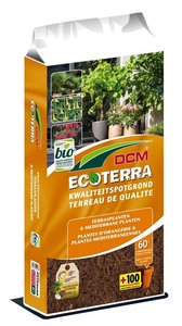 DCM Ecoterra® Terrasplanten & Mediterrane Planten