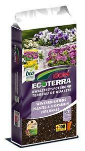 DCM Ecoterra® Winterbloeiers