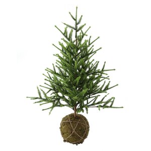 DECO kerstboom moskluit - H 60 cm