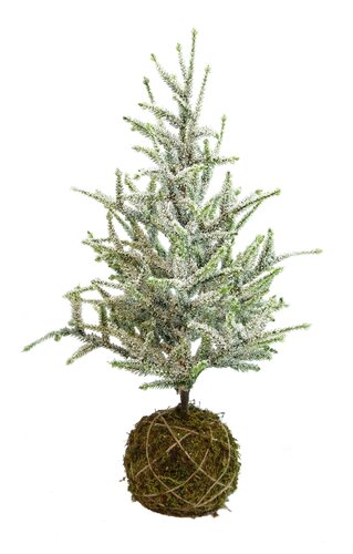 Deco kerstboom moskluit H60cm sneeuwfinish