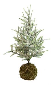 Deco kerstboom moskluit sneeuwfinish - H 60 cm