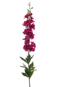 Delphinium spray RT fuchsia 90cm