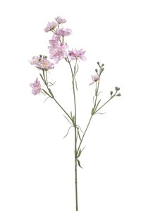 Delphinium spray x3 pink 84cm