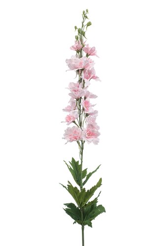 Delphinium Tak Zijde - 90cm Roze