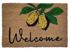 Deurmat kokos 'Welcome lemons' 40 x 60 cm
