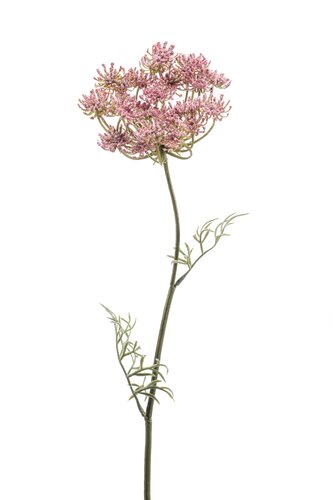 Dille Tak Zijde - 67cm Roze