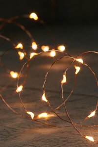 Anna's Collections Verlichting koper - 100 LED 5m