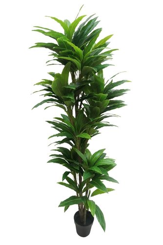 Dracaena 180cm kunstplant