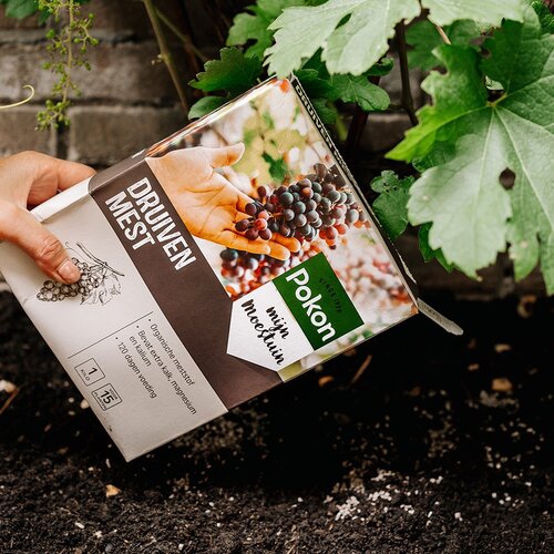 Druivenmest 1kg - afbeelding 3