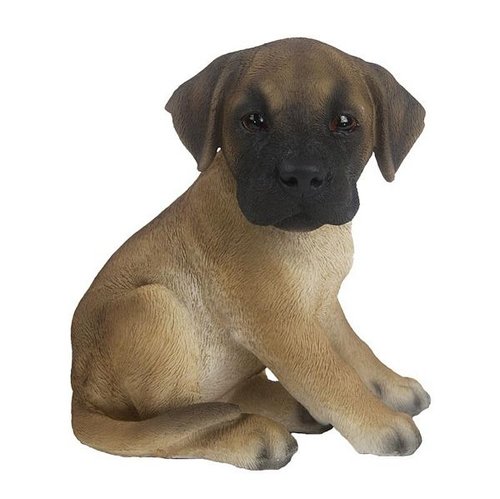 Duitse dog pup zittend