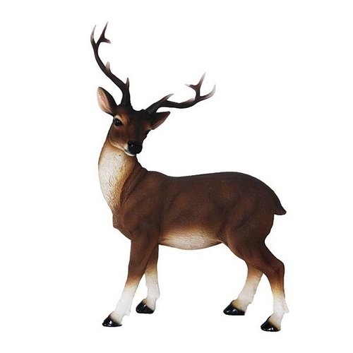 Edelhert staand M