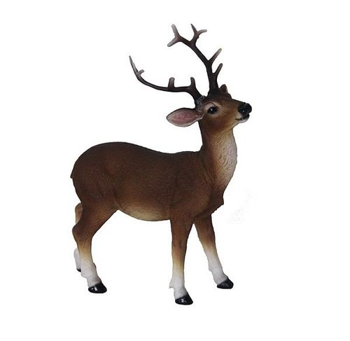 Edelhert staand S