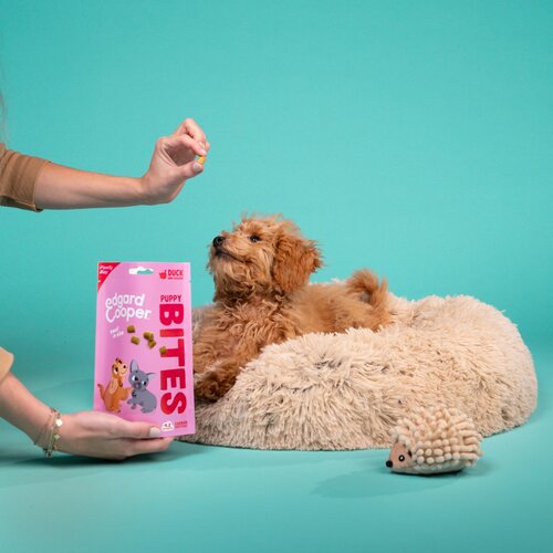Edgard & Cooper Puppy Bites Eend & Kip klein - 120g - afbeelding 4