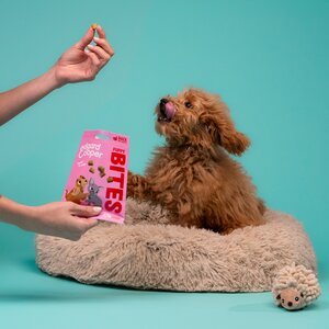 Edgard & Cooper Puppy Bites Eend & Kip klein 50g - afbeelding 4