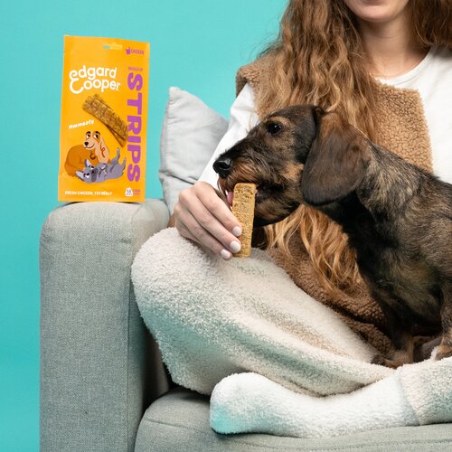 Edgard & Cooper Snuggle Up Strips Zalm & Kip 75g - afbeelding 4