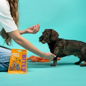Edgard & Cooper Top Dog Bites Zalm & Kip klein - 50g - afbeelding 4