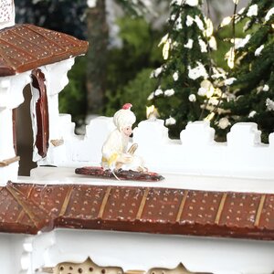 Efteling De tuinman en de Fakir battery operated - l31xw11xh21cm - afbeelding 3