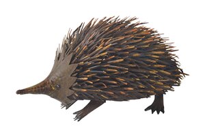 Egel 44 x 31 x 27 cm