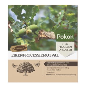 Eikenprocessiemotval - afbeelding 1