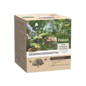 Eikenprocessiemotval - afbeelding 2