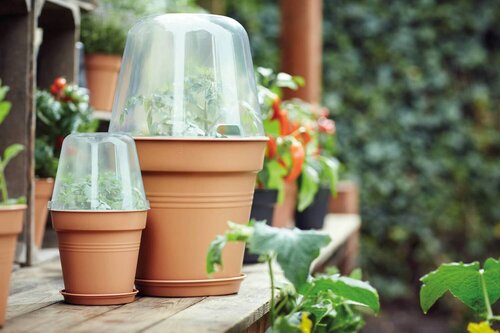 elho accessory green basics grow house round d30 h23cm Transparent - afbeelding 3