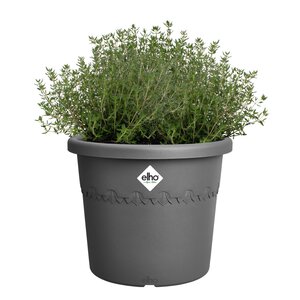 Elho algarve cilindro 25cm antraciet - afbeelding 2