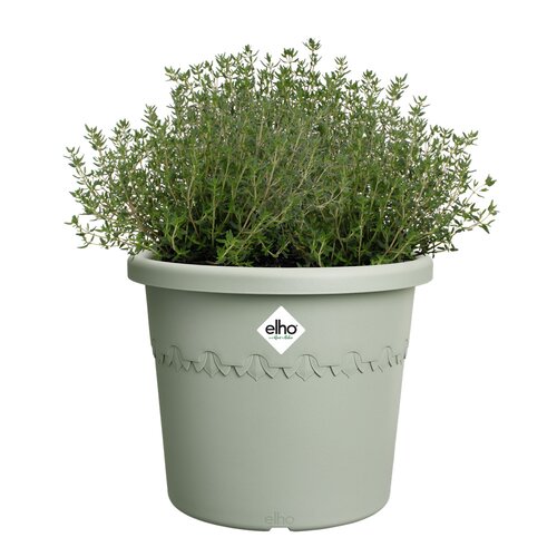 Elho algarve cilindro 25cm tijmgroen - afbeelding 2