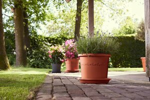 Elho algarve cilindro 30cm terra - afbeelding 5