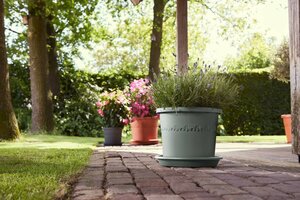 Elho algarve cilindro 35cm tijmgroen - afbeelding 5