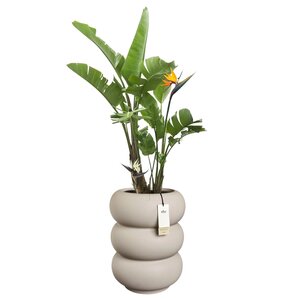 Elho Amber Roll High bloempot - D43xH58cm Balanced beige - afbeelding 2