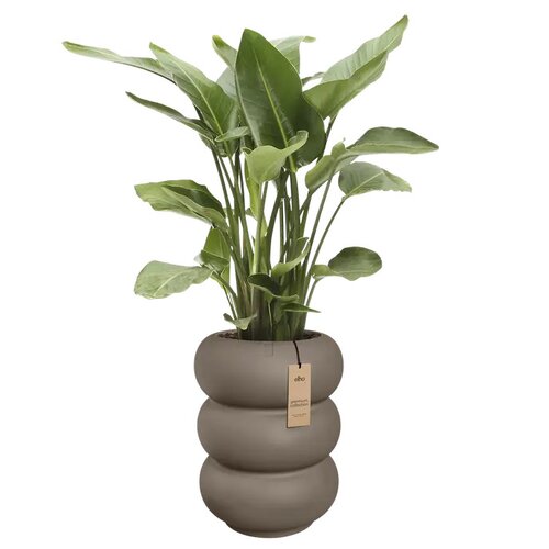 Elho Amber Roll High bloempot - D43xH58cm Burnt umber - afbeelding 2