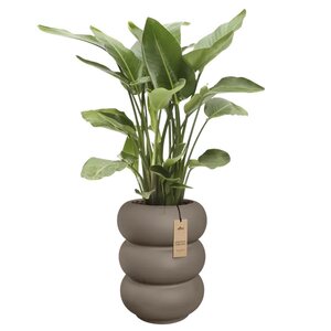 Elho Amber Roll High bloempot - D43xH58cm Burnt umber - afbeelding 2