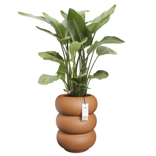 Elho Amber Roll High bloempot - D43xH58cm Karamel - afbeelding 2