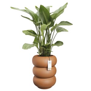 Elho Amber Roll High bloempot - D43xH58cm Karamel - afbeelding 2