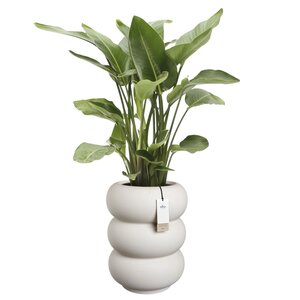 Elho Amber Roll High bloempot - D43xH58cm Linnen wit - afbeelding 3