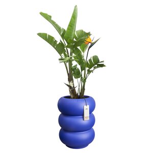 Elho Amber Roll High bloempot - D43xH58cm Royal blue - afbeelding 2