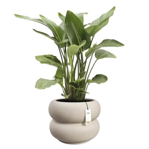 Elho Amber Roll Low bloempot - D43xH40cm Balanced beige - afbeelding 2