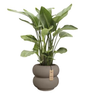 Elho Amber Roll Low bloempot - D43xH40cm Burnt umber - afbeelding 2
