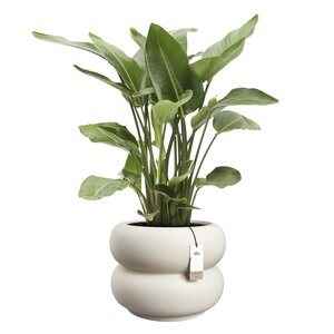 Elho Amber Roll Low bloempot - D43xH40cm Linnen wit - afbeelding 2