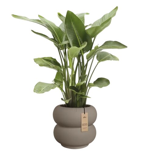 Elho Amber Roll Low bloempot - D60xH46cm Burnt umber - afbeelding 2