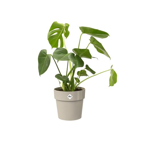 Elho b.for original rond 25cm - afbeelding 2